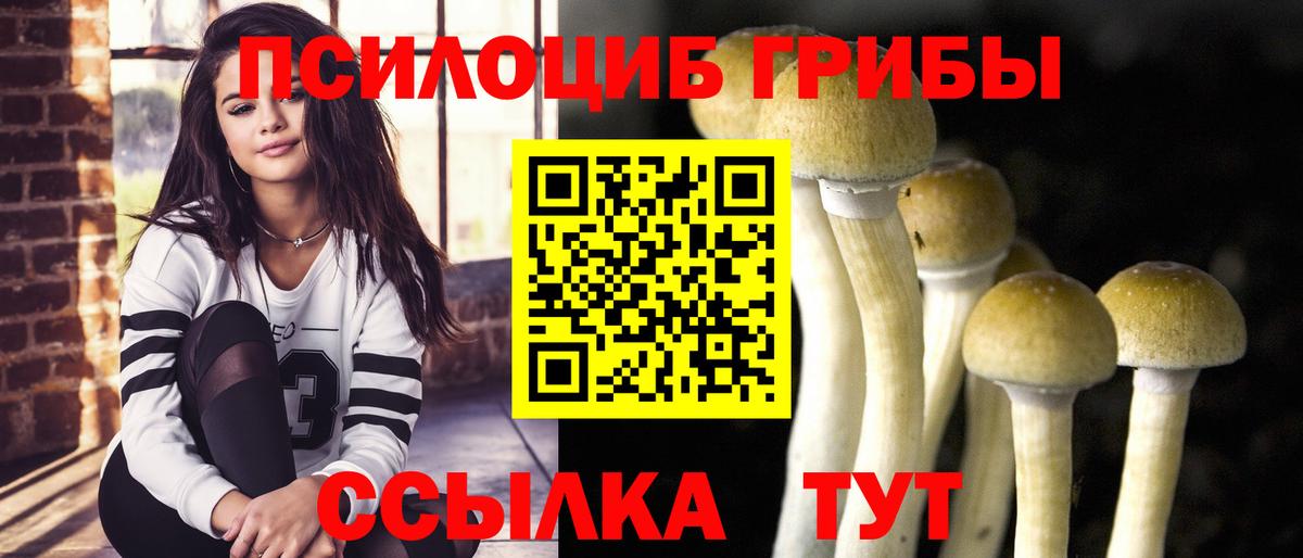 Галлюциногенные грибы MAGIC MUSHROOMS Москва
