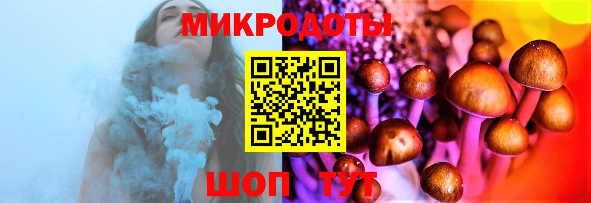 Псилоцибиновые грибы MAGIC MUSHROOMS  Псилоцибиновые грибы прущие грибы  Москва  Вход с VPN 